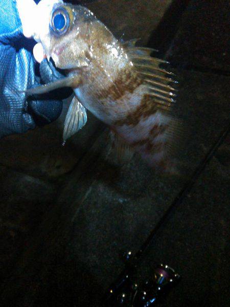 風が吹いたり止んだり